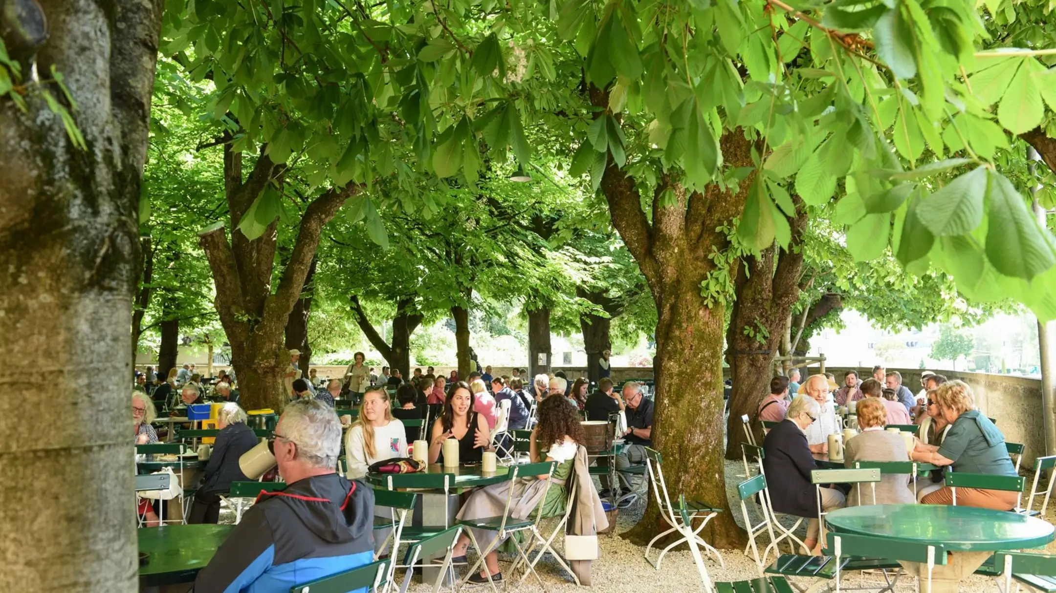 Gastgarten Mit Kastanienbäumen 5941211@2x